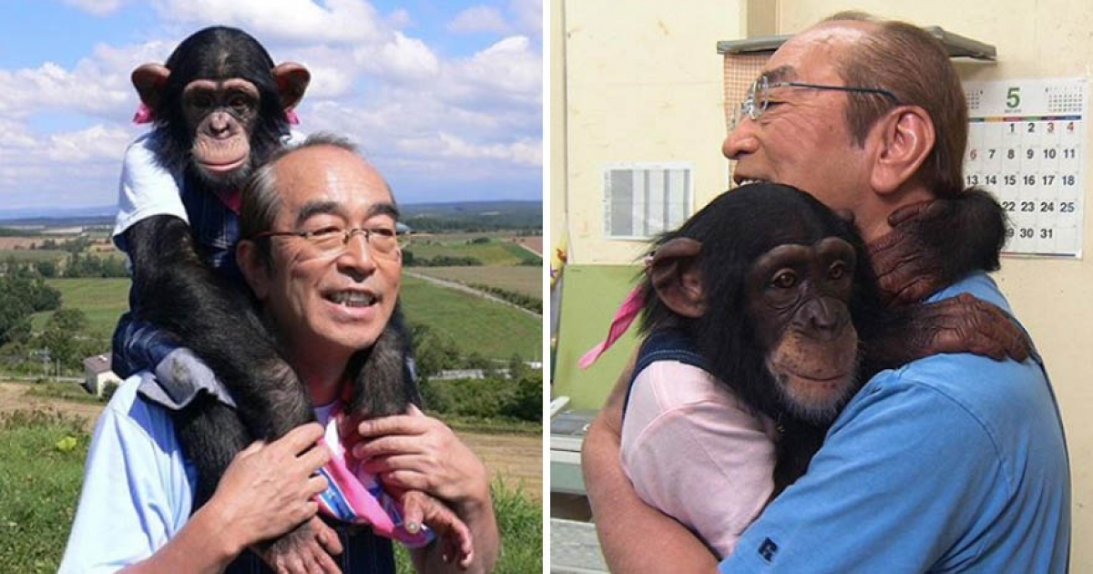 捨不得與志村健分離 小龐 追上去討抱抱 畫面曝光 夥伴們都離開了 日本風向球 捨不得與志村健分離 小龐 追上去討抱抱 畫面曝光 夥伴們都離開了 日本風向球