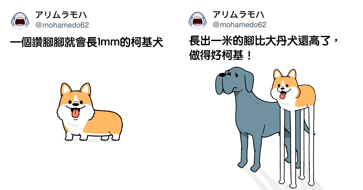 按一個讚腳腳就變長1mm 推主畫出 大長腿柯基 網繼續按讚 想看它變多長 日本風向球 按一個讚腳腳就變長1mm 推主畫出 大長腿柯基 網繼續按讚 想看它變多長 日本風向球